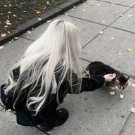 ひよこまめさんのアイコン画像