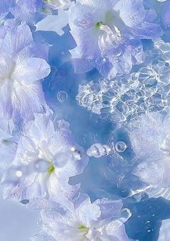 好きの気持ちを言えるまで.