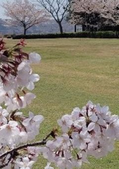 長編短編集٩( ᐛ )و