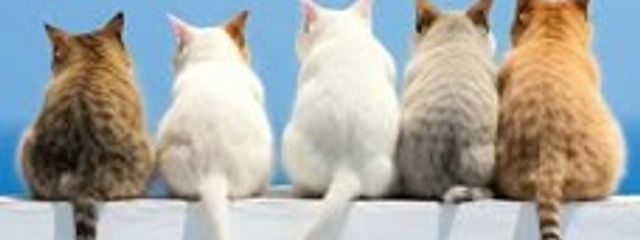 殿厨💜‪🔪✝さんの壁紙画像