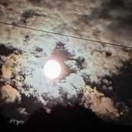 桜雪さんのアイコン画像