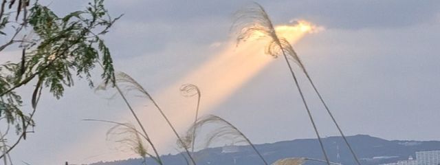 yuraさんの壁紙画像