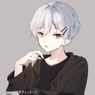 スイ＠雑食さんのアイコン画像