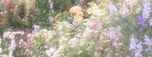 𝐒𝐨𝐫𝐚.さんの壁紙画像