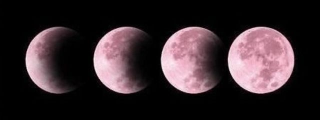 ㅤㅤり ずさんの壁紙画像