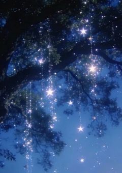 星降る夜に