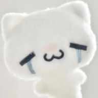 依世さんのアイコン画像