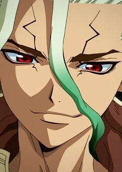 『石の世界で、恋が始まるなんて聞いてないんだけど』