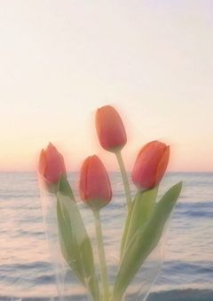 じぇおの中編・短編集