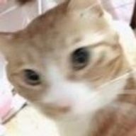 mozukuさんのアイコン画像