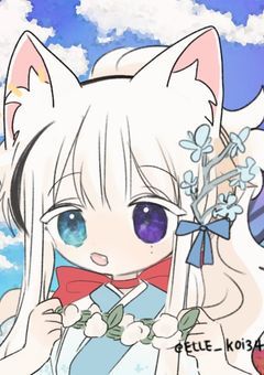 【 配信部屋 】