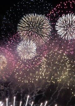 花火見てきた