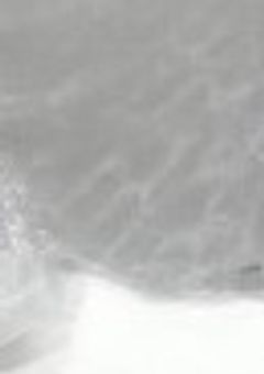 〔潰れてしまったの〕