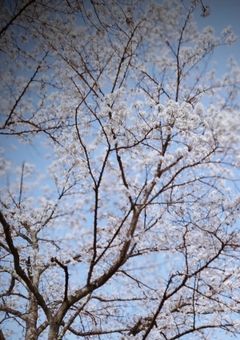 ぼくの"正義"は皆の"悪"