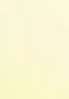 芽生えた恋心と奇跡の再会