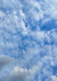 コラボしたらむっちゃ仲良くなりました【参加型】〆切