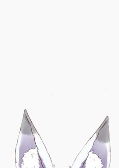 ネットで出会ったキツネと、もう一人の君へ