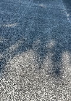 役割があべこべになったニーゴの日常