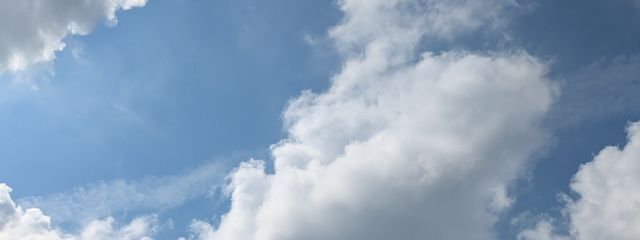 九条翡翠さんの壁紙画像