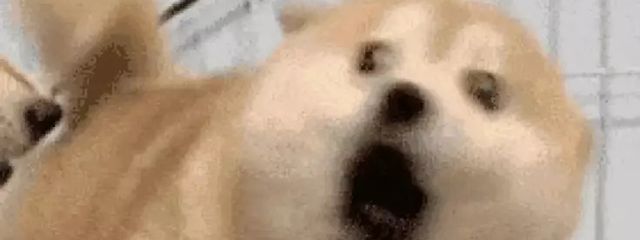 こといさんの壁紙画像