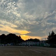 さわわさんのアイコン画像