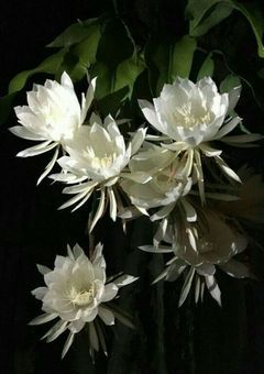 君の声が消える前に