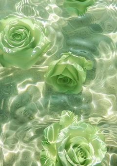 　‪❤︎‬ "　隠し味は君からの愛　" ꒷꒦　