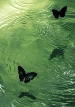 　‪‪❤︎‬ "　孤独に 別れを　" ꒷꒦　