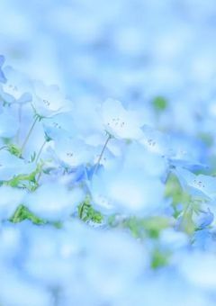 　時雨が降る町、君と居られたら。
