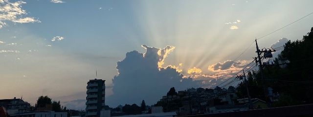 望月 零さんの壁紙画像