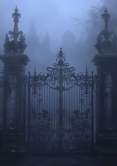 呪いのドールと迷い込んだ子供達