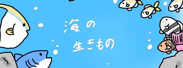 penguin⭐︎さんの壁紙画像