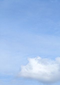 分かり合えない君と僕。