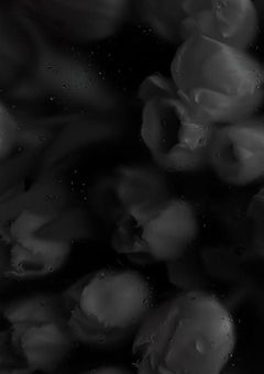 愛されマンネの日常(インスタ、Weverse)