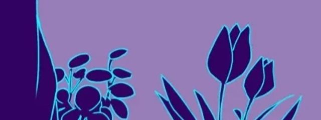 🐈‍⬛.さんの壁紙画像