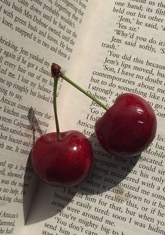 スタシのリアコ製造機