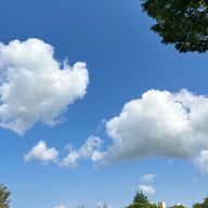 つむぐさんのアイコン画像