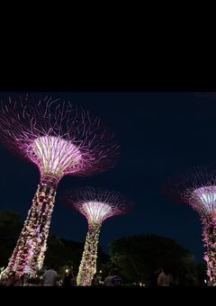 腕写真集