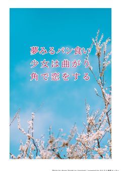 夢見るパン食い少女は曲がり角で恋をする