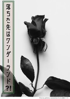 落ちた先はワンダーランド？！ 【更新停止中】