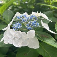 残気さんのアイコン画像