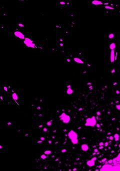 ダンガンロンパのお仕置、やってみた