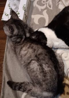 リア友せんよー♡