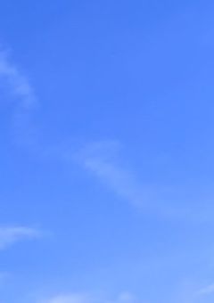 幼馴染さん