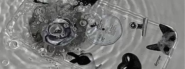 Miaさんの壁紙画像