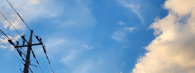 いおり(くらげ)　#フォロバ絶対！さんの壁紙画像