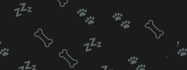 黒猫さんの壁紙画像