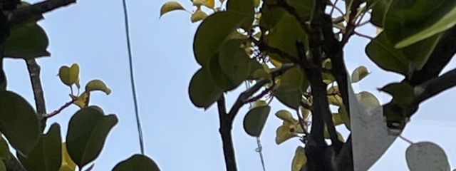 背番号ヨンジューキューさんの壁紙画像