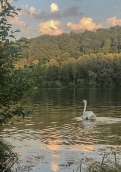 義理のお兄ちゃんは俺の彼氏