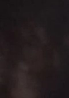 愛しのるなりおちゃんちゃん